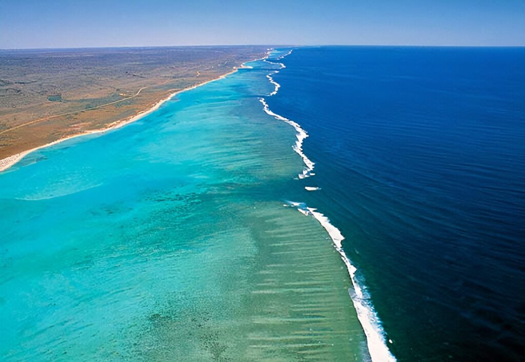 Ningaloo reef