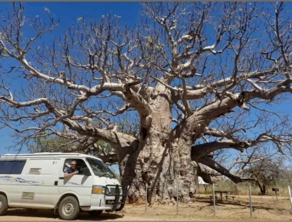 our van beside the giant boab trees. The Ultimate Western Australia Itinerary - The Best Western Australia road-trip Happy Irish Wanderers