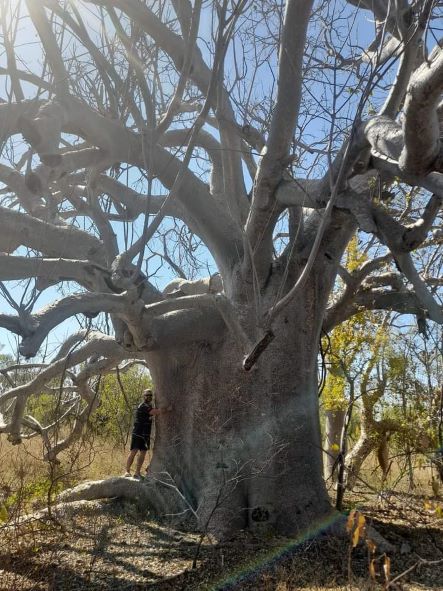 The Ultimate Western Australia Road Trip - The Best Itinerary Happy Irish Wanderers