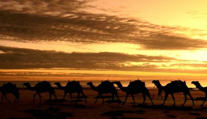 Cable beach with camels at sunset The Ultimate Western Australia Itinerary - The Best Western Australia road-trip Happy Irish Wanderers