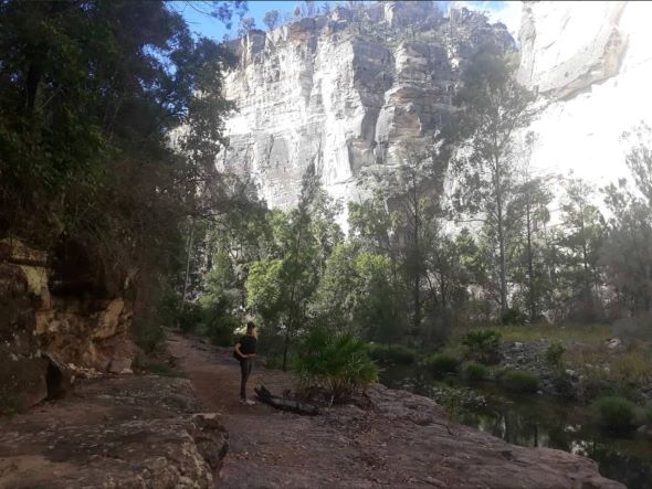 Cairns to Brisbane - Australia's Ultimate East Coast Road Trip Happy Irish Wanderers