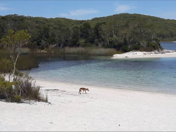 Cairns to Brisbane - Australia's Ultimate East Coast Road Trip Happy Irish Wanderers