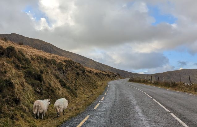 Ireland Bucket List: 101 Greatest Attractions Happy Irish Wanderers