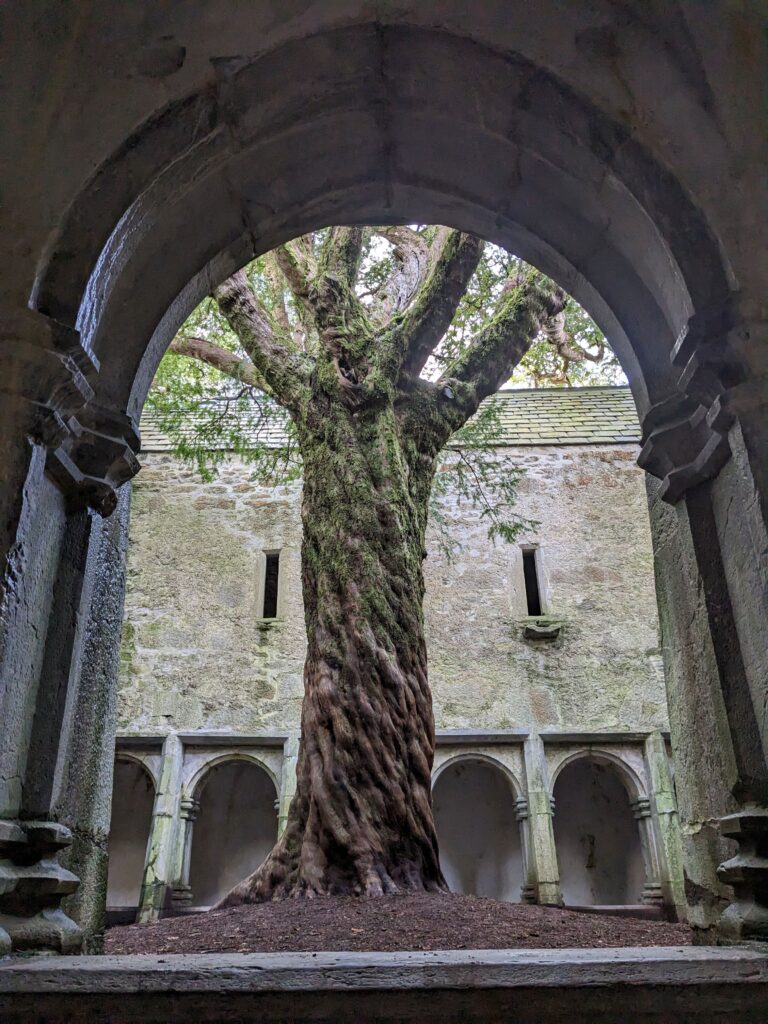 Muckross Abbey Famous Ireland Landmarks: 101 of The Greatest Attractions - 21-40 Happy Irish Wanderers