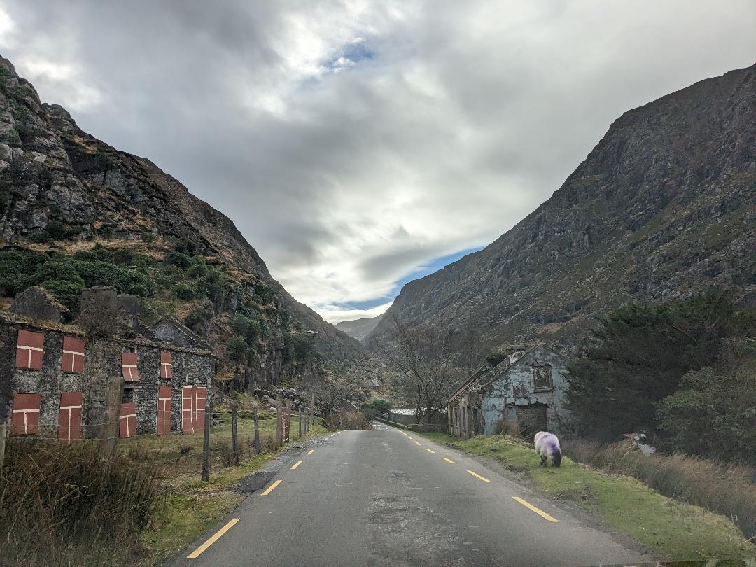 Killarney National Park Killarney itineraries