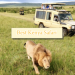 Best Kenya Safari Happy Irish Wanderers