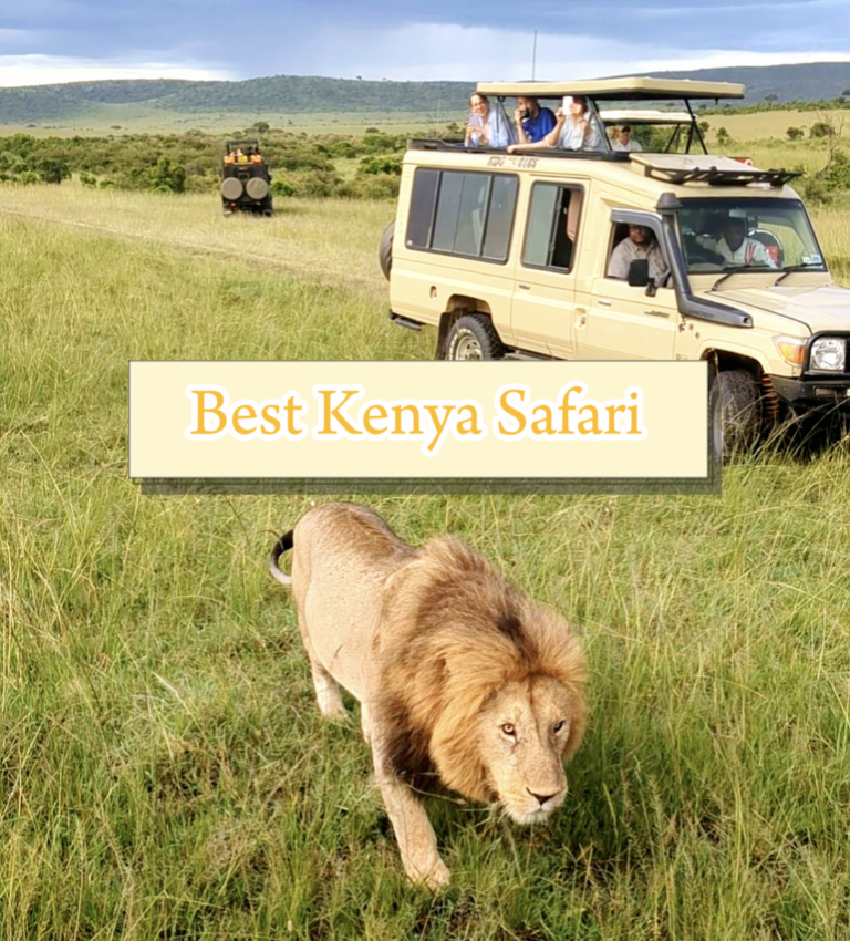 Best Kenya Safari Happy Irish Wanderers