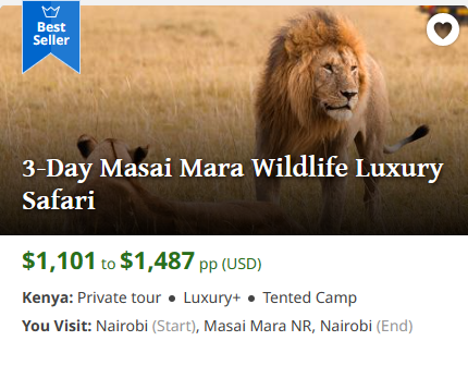 What is the Best And Most Affordable budget safari in Africa - Happy Irish Wanderers