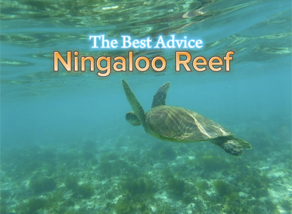 Cape Range National Park & Ningaloo Reef - The Best Advice Happy Irish Wanderers