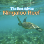 Cape Range National Park & Ningaloo Reef - The Best Advice Happy Irish Wanderers