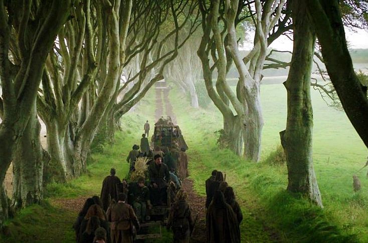 The Dark Hedges