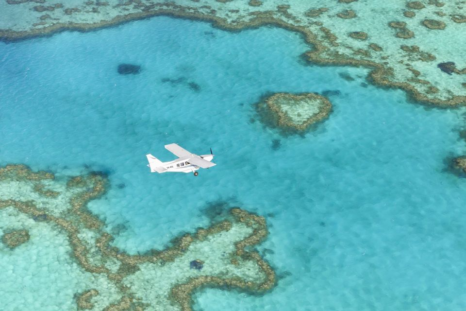 Is Airlie Beach Worth Visiting? Everything You Need to Know 