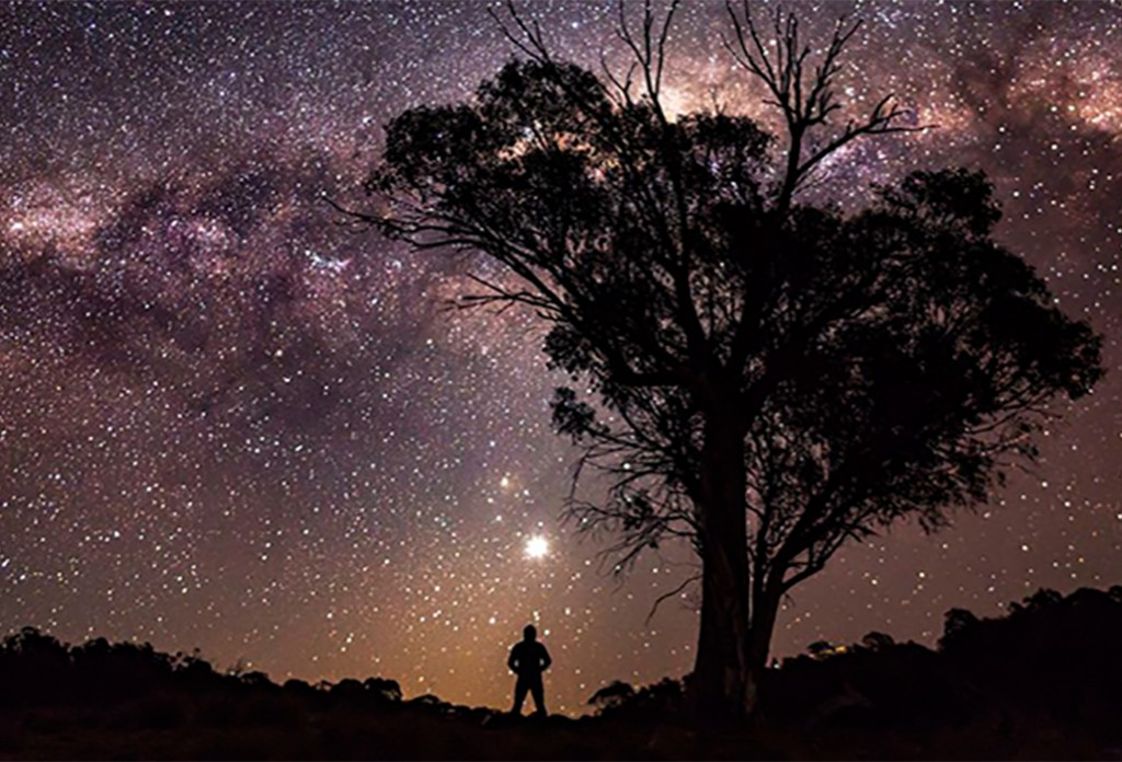 Carnarvon Gorge Guide - Everything You Need To Know