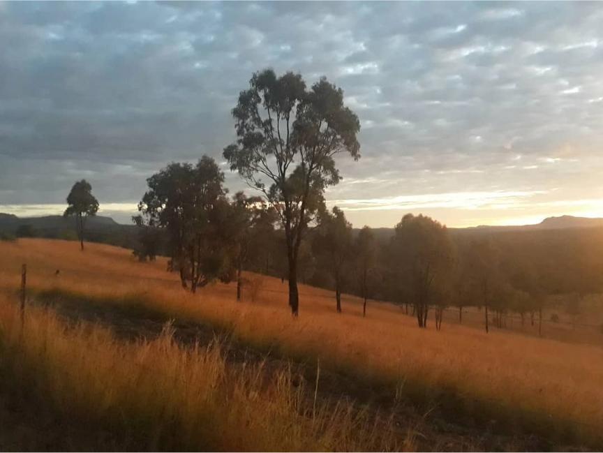 Happy Irish Wanderers. Visit Carnarvon Gorge