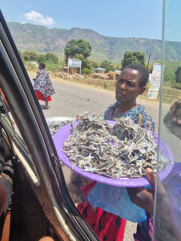 Tanzania to Malawi - There are many stops for local snacks in Malawi - Happy Irish wanderers