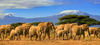 10 Best And Most Popular To Visit Kenya Attractions - Happy Irish Wanderers