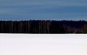 Estonia Flag Greatest Flags In The World And Their True Meaning - Happy Irish Wanderers