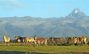 25 Amazing Reasons To Visit the Best Safari Nation - Kenya - Happy Irish Wanderers