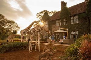 25 Amazing Reasons To Visit the Best Safari Nation - Kenya - Happy Irish Wanderers