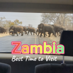 Zambia Weather - The Best Time to Visit Happy Irish Wanderers