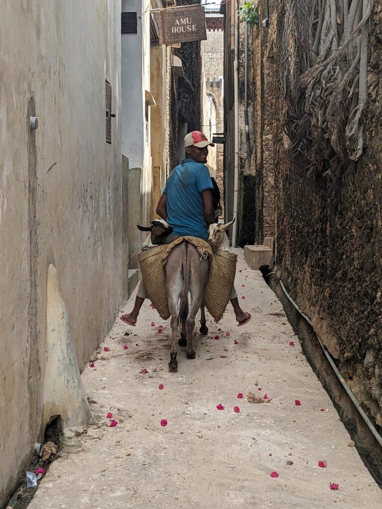 Donkeys and locals on Lamu island: 10 Best And Most Popular To Visit Kenya Attractions - Happy Irish Wanderers