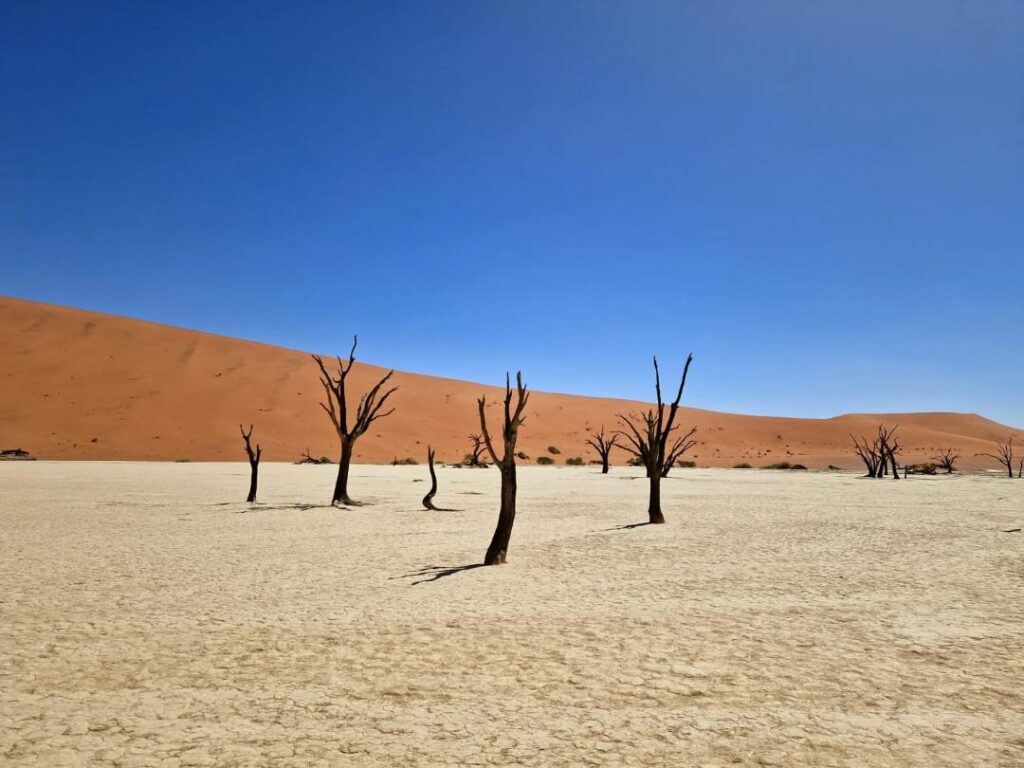 Ultimate Guide to Visit Sossusvlei - All Your Questions Answered Right Here Happy Irish Wanderers