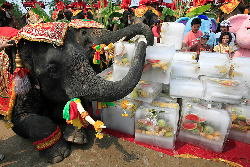National Elephant Day celebrates Thailand's national animal