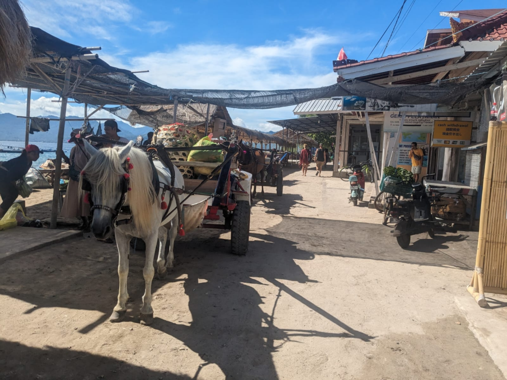 Gili Islands, Indonesia - Everything you Need to Know Happy Irish Wanderers