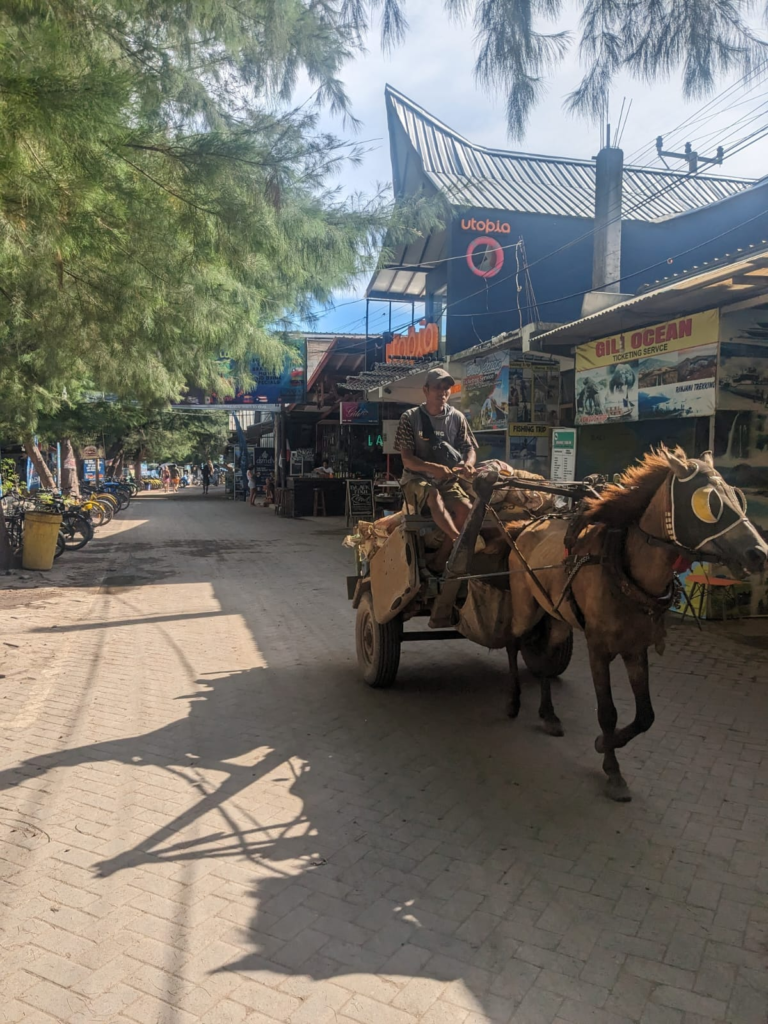 Cidomo Gili Islands, Indonesia - Everything you Need to Know Happy Irish Wanderers