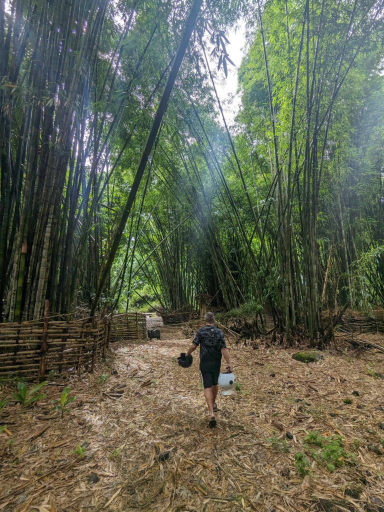 Bamboo forest to Bukit Selong In Lombok Happy Irish Wanderers