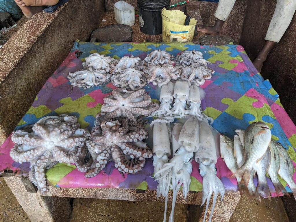 Fish-market-Stone-Town-Happy-Irish-Wanderers