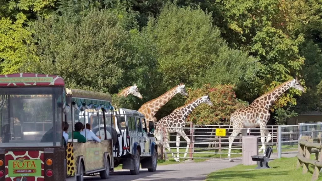 Fota Wildlife Park best things to do in Cork