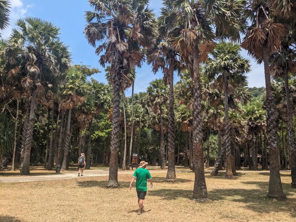 National Park palm-trees-Koh-Lanta-Happy-Irish-Wanderers