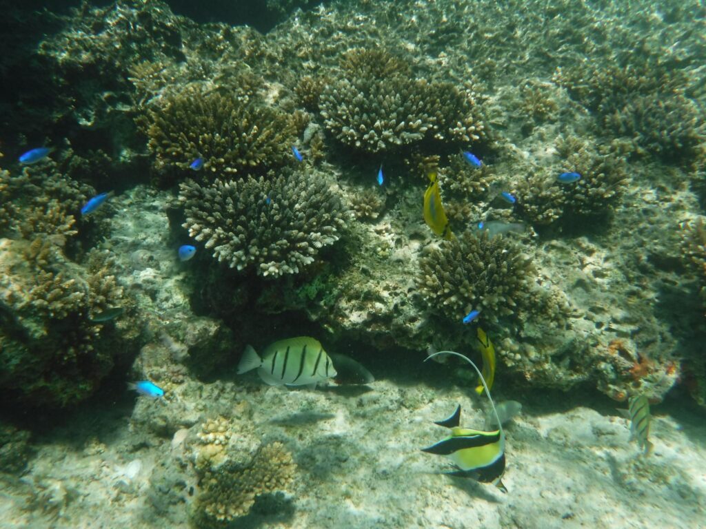 Cape Range National Park & Ningaloo Reef - The Best Advice Happy Irish Wanderers