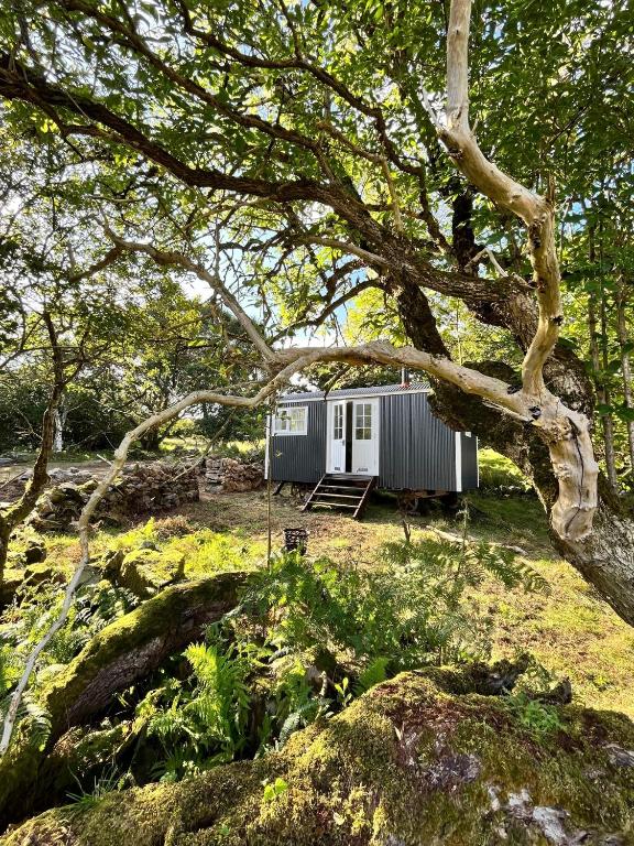 The Hazel Hut Unique Ireland Getaways