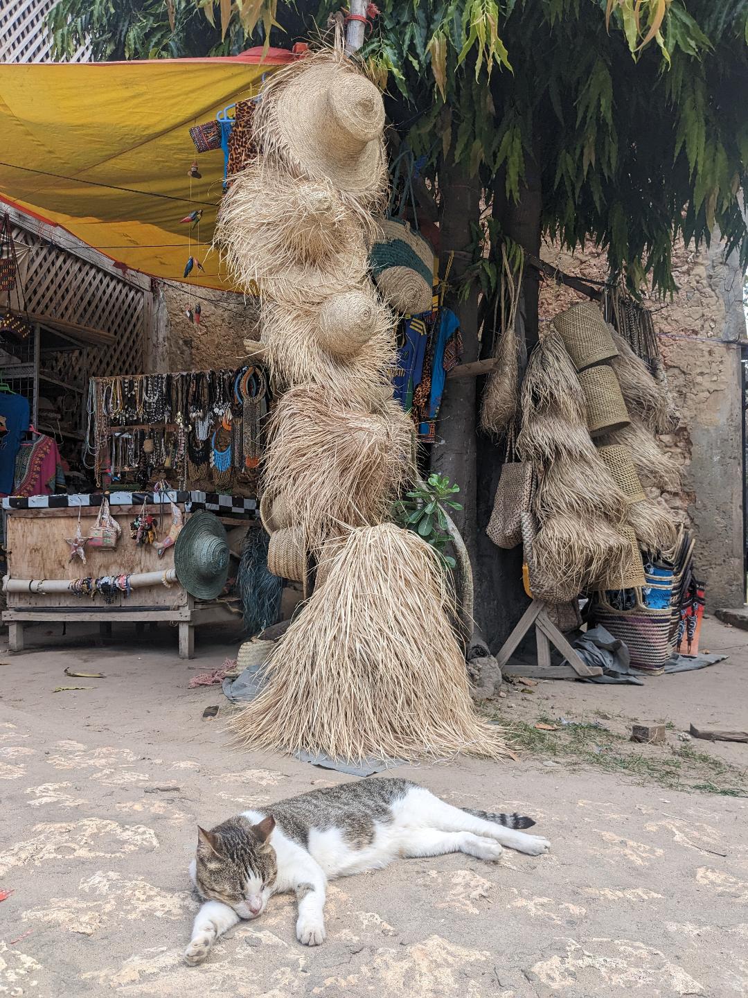 snoozey-cat-in-Stone-Town-Happy-Irish-Wanderers