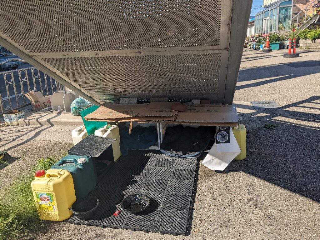 DIY shelter for street cats in in South Korea Travel Happy Irish Wanderers