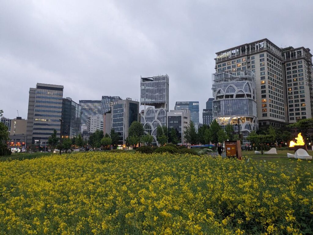 Wild flowers against the city at Yeollin-Songhyeon-Square-Seoul-South-Korea-wild-flowers