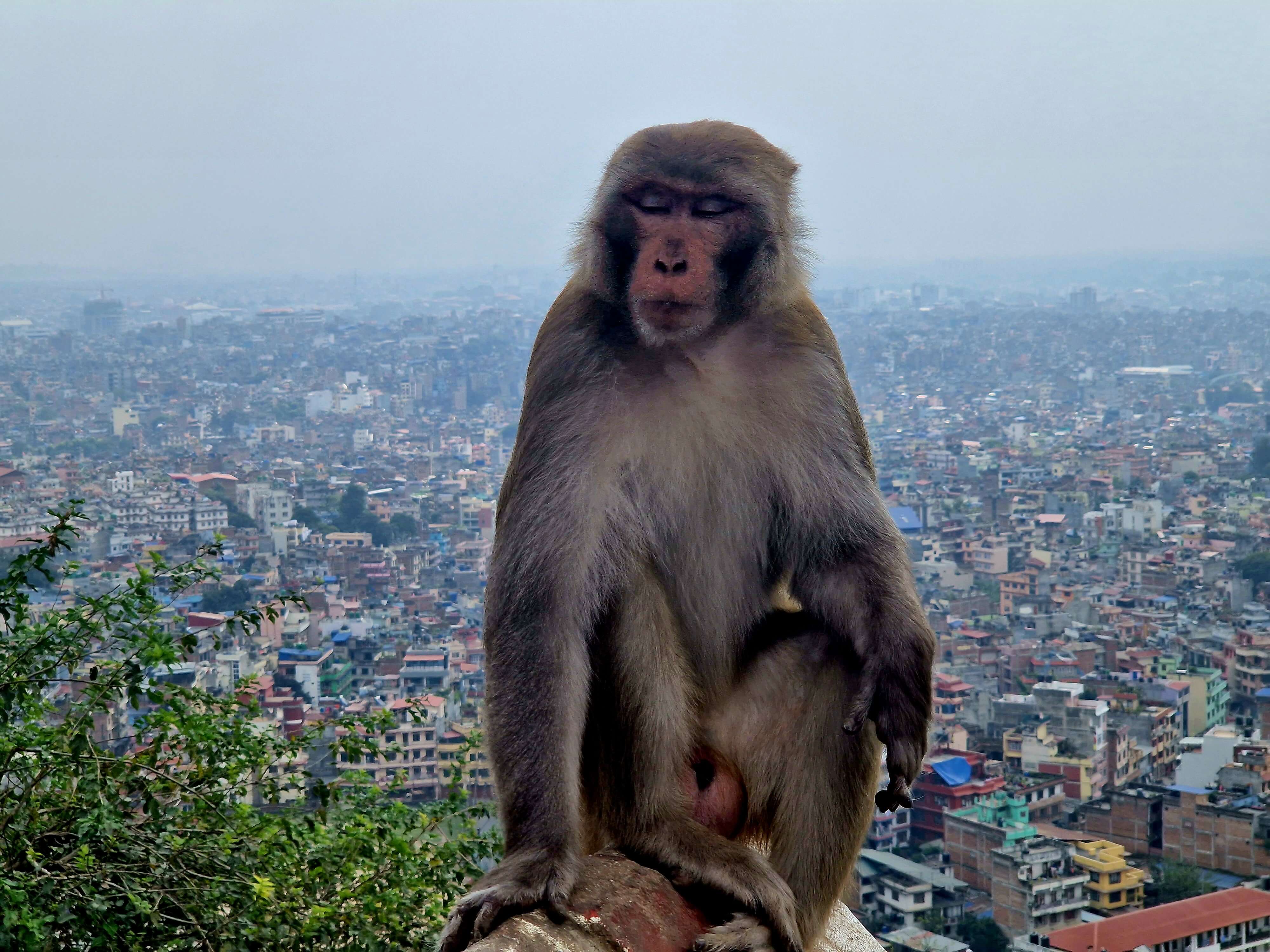 How to get from Kathmandu to Pokhara 