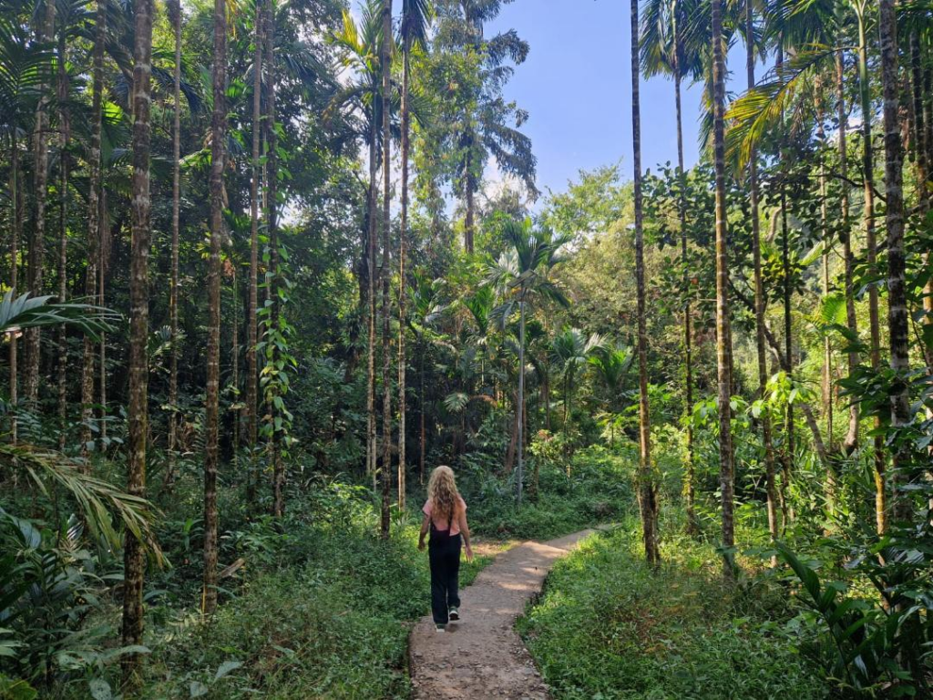 The Hike Are the Famous Living Root Bridges in Meghalaya Worth Visiting? Happy Irish Wanderers