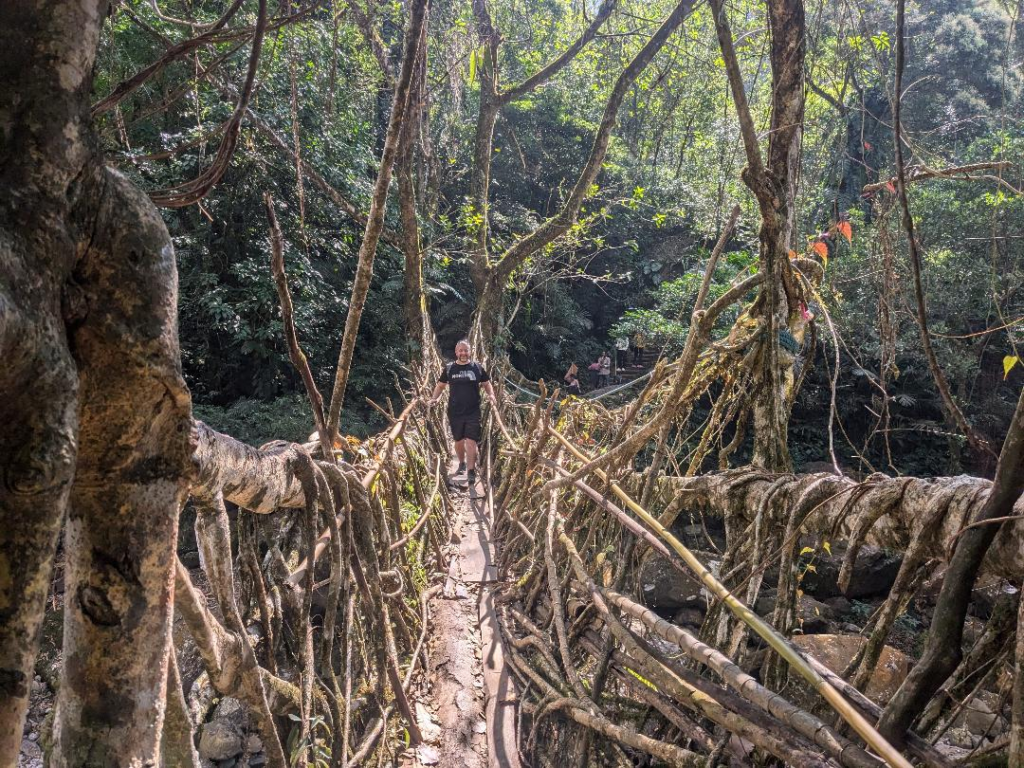 Are the Famous Living Root Bridges in Meghalaya Worth Visiting? Happy Irish Wanderers