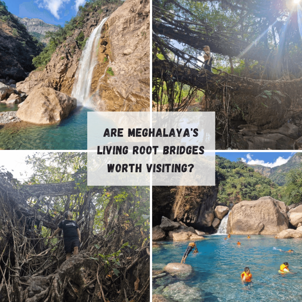 Are the living root bridges in Meghalaya worth visiting Happy Irish Wanderers