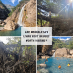 Are the living root bridges in Meghalaya worth visiting Happy Irish Wanderers