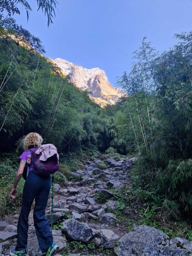 Forest trail 6-Day Annapurna Base Camp Trek WITHOUT a Guide Happy Irish Wanderers