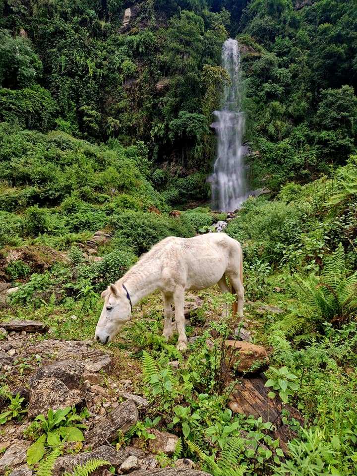 to Landruk 6-Day Annapurna Base Camp Trek WITHOUT a Guide Happy Irish Wanderers