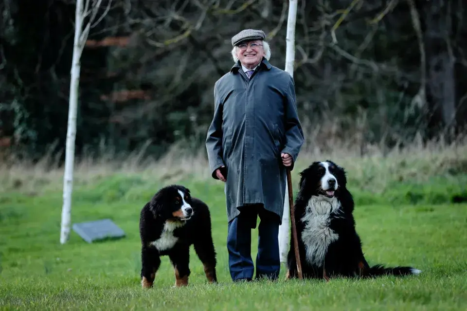 President Higgins with his two dogs
