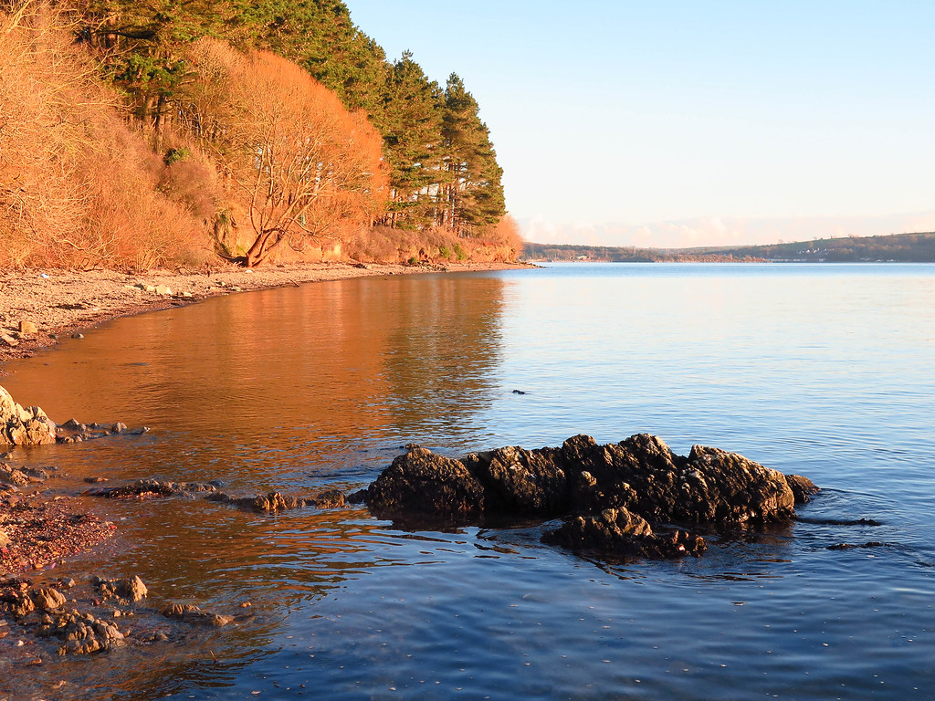 Marlogue Woods Cobh travel tips