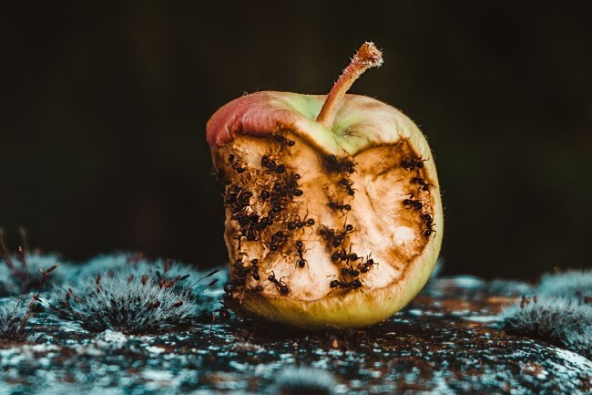 Irish Piseog Quirky Irish Superstitions You Will Love: