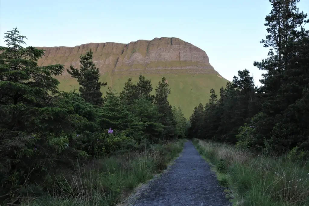 Benbulben's forest walk Irish Hikes With Myths and Legends