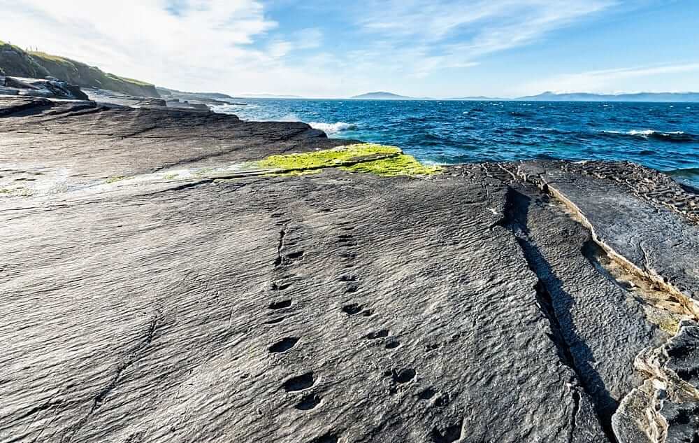fossilized tetrapod tracks on Valentia Island Hidden Islands of Ireland